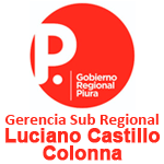 Licitaciones GSR LUCIANO CASTILLO COLONNA