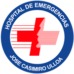 Licitaciones HOSPITAL CASIMIRO ULLOA