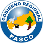 Licitaciones GOBIERNO REGIONAL DE PASCO