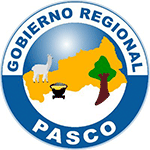  Licitaciones GOBIERNO REGIONAL DE PASCO