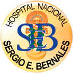 Licitaciones HOSPITAL SERGIO E. BERNALES