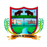Licitaciones MUNICIPALIDAD DE COCHAMAL