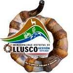 Licitaciones MUNICIPALIDAD DE LLUSCO