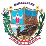 Licitaciones MUNICIPALIDAD DE MIRAFLORES - HUAMALIES