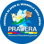 Licitaciones PRADERA