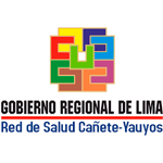 Licitaciones RED DE SALUD CAÑETE - YAUYOS