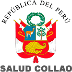 Licitaciones RED DE SALUD EL COLLAO