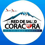 Licitaciones RED DE SALUD CORACORA