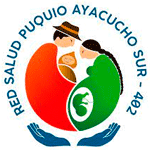 Licitaciones RED DE SALUD PUQUIO