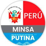 Licitaciones RED DE SALUD SAN ANTONIO DE PUTINA